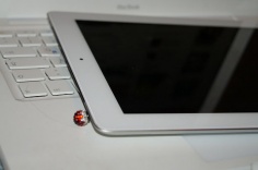 For IPHONE & IPAD